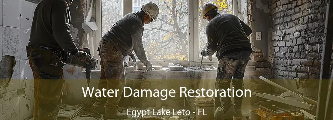 Water Damage Restoration Egypt Lake Leto - FL