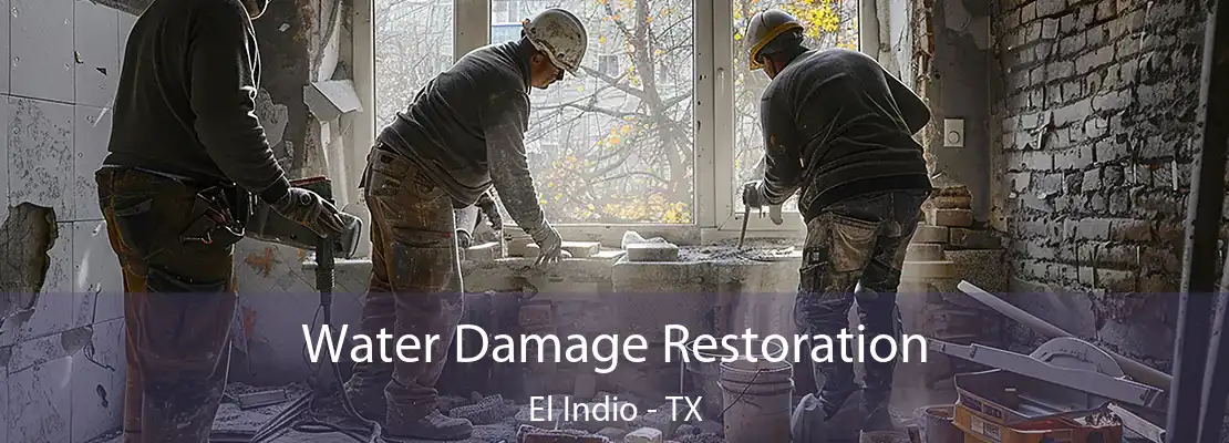 Water Damage Restoration El Indio - TX