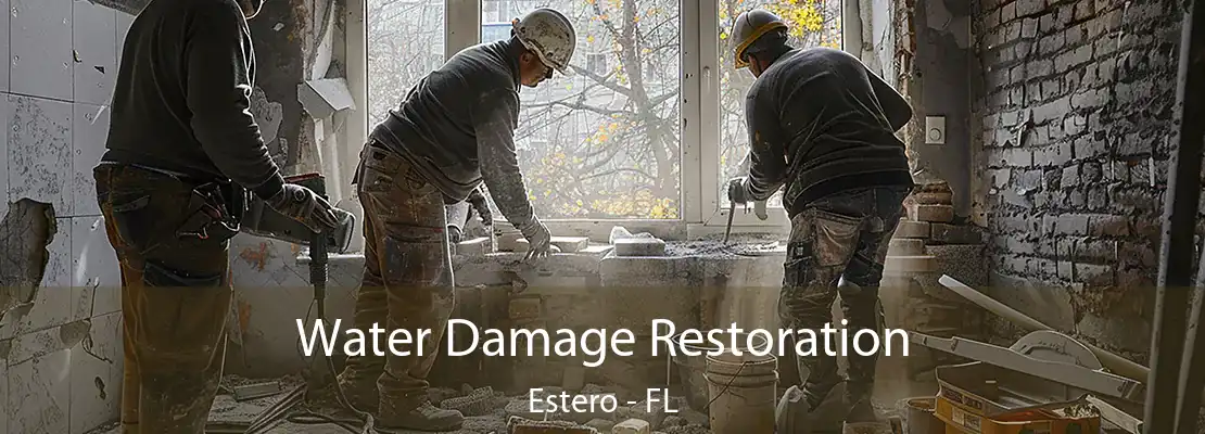 Water Damage Restoration Estero - FL