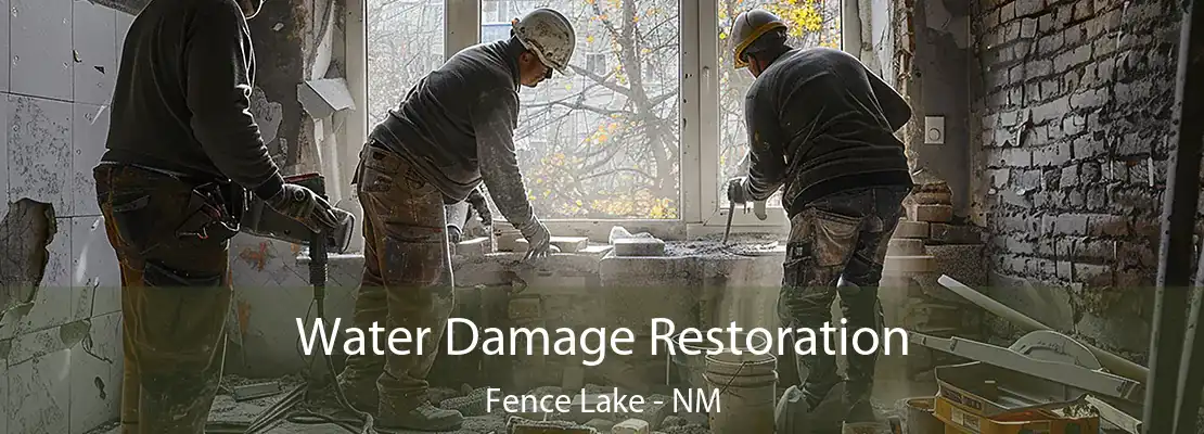 Water Damage Restoration Fence Lake - NM