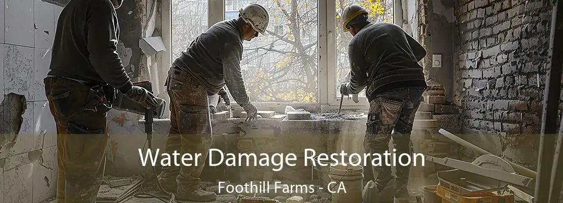 Water Damage Restoration Foothill Farms - CA