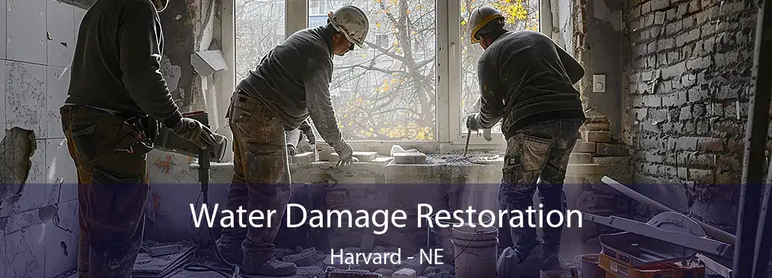 Water Damage Restoration Harvard - NE