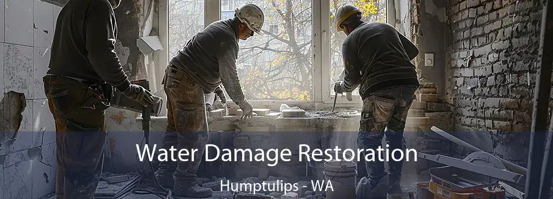 Water Damage Restoration Humptulips - WA