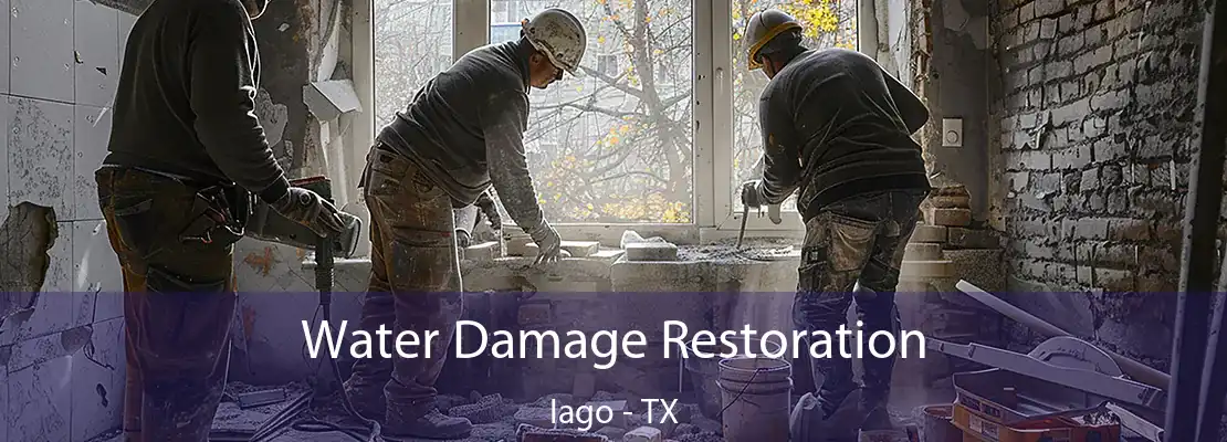 Water Damage Restoration Iago - TX