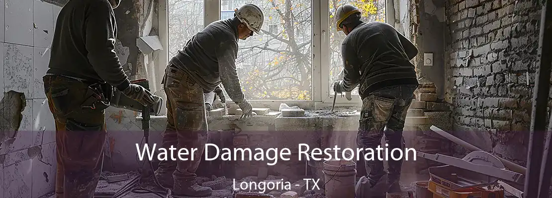 Water Damage Restoration Longoria - TX