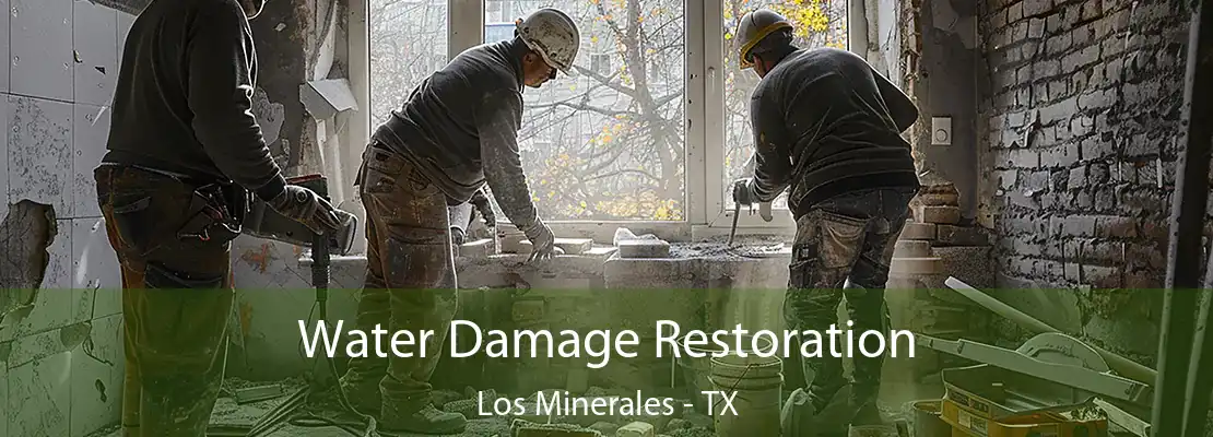 Water Damage Restoration Los Minerales - TX