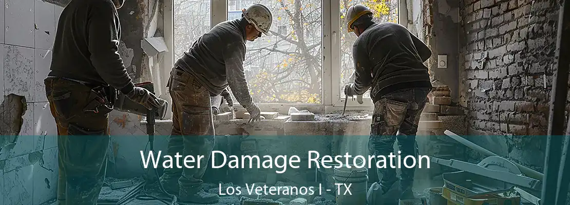 Water Damage Restoration Los Veteranos I - TX