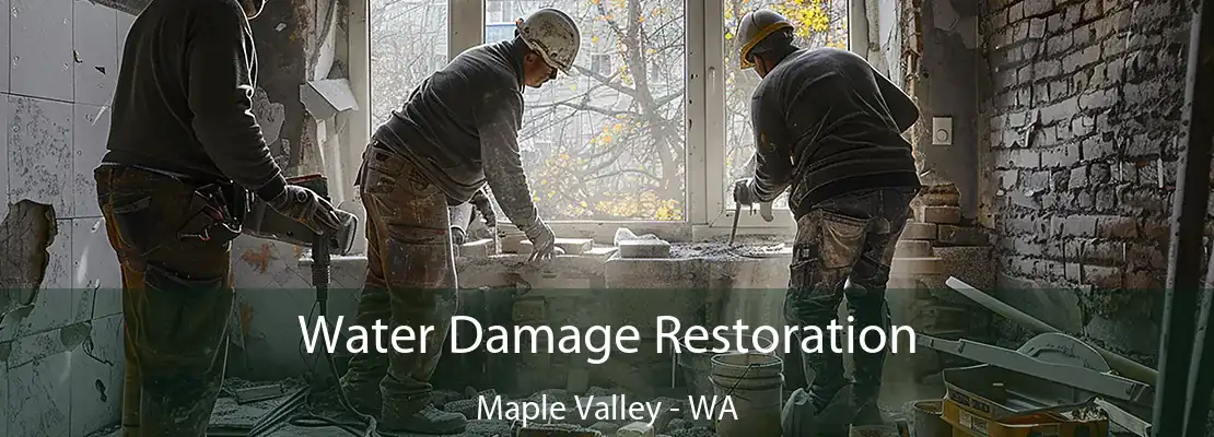 Water Damage Restoration Maple Valley - WA