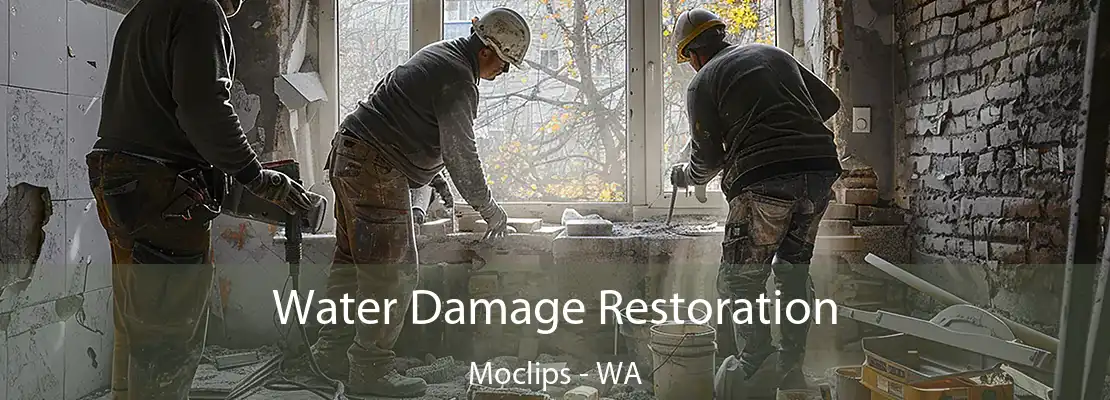 Water Damage Restoration Moclips - WA