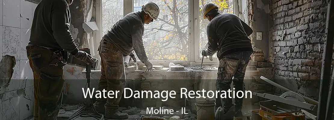 Water Damage Restoration Moline - IL