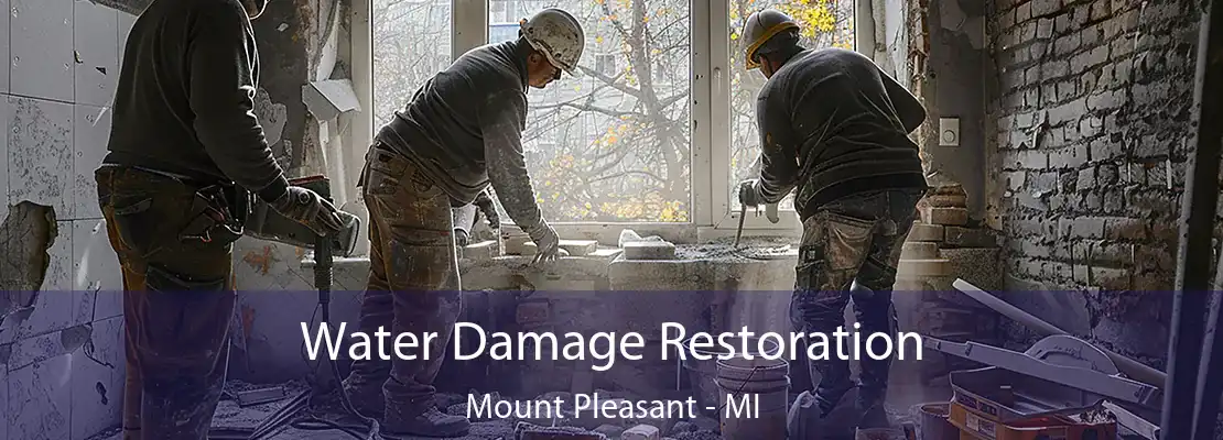 Water Damage Restoration Mount Pleasant - MI