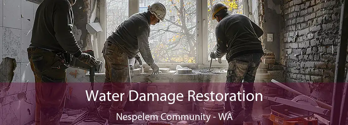 Water Damage Restoration Nespelem Community - WA