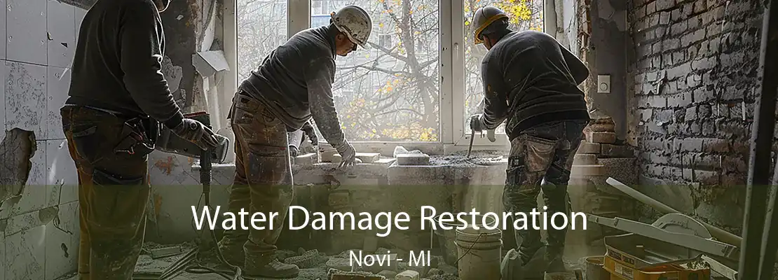 Water Damage Restoration Novi - MI