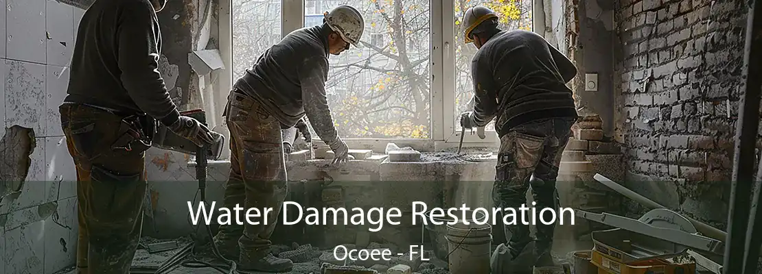 Water Damage Restoration Ocoee - FL