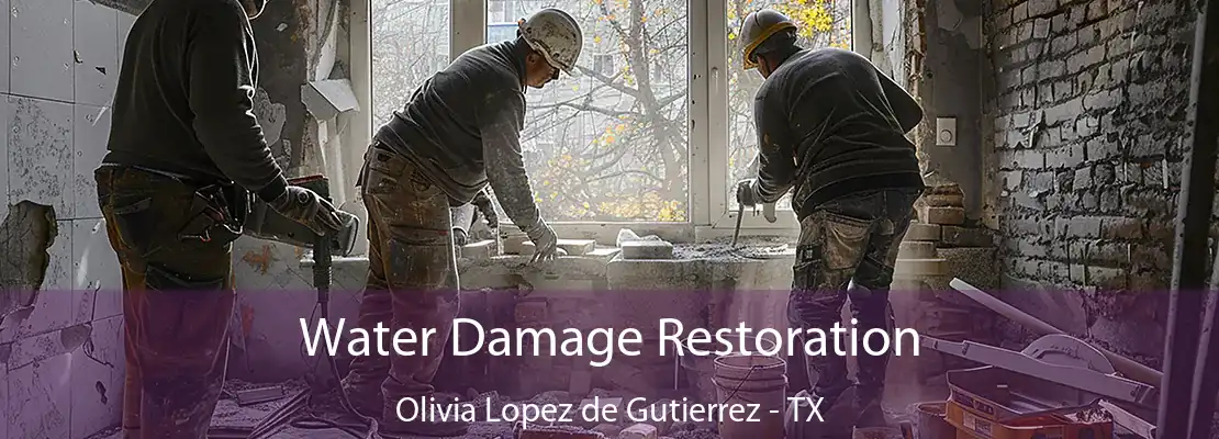 Water Damage Restoration Olivia Lopez de Gutierrez - TX