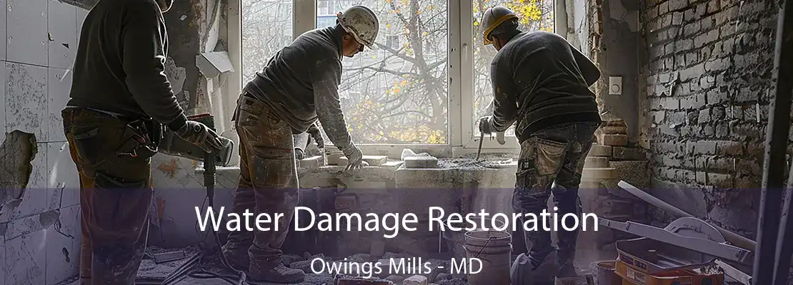 Water Damage Restoration Owings Mills - MD