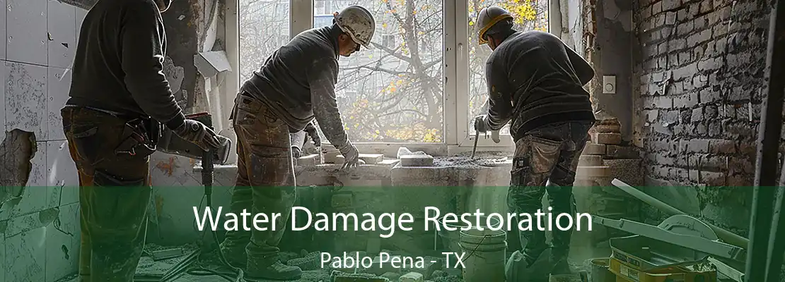 Water Damage Restoration Pablo Pena - TX