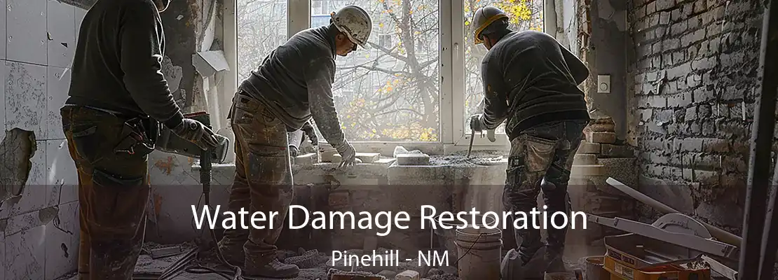 Water Damage Restoration Pinehill - NM