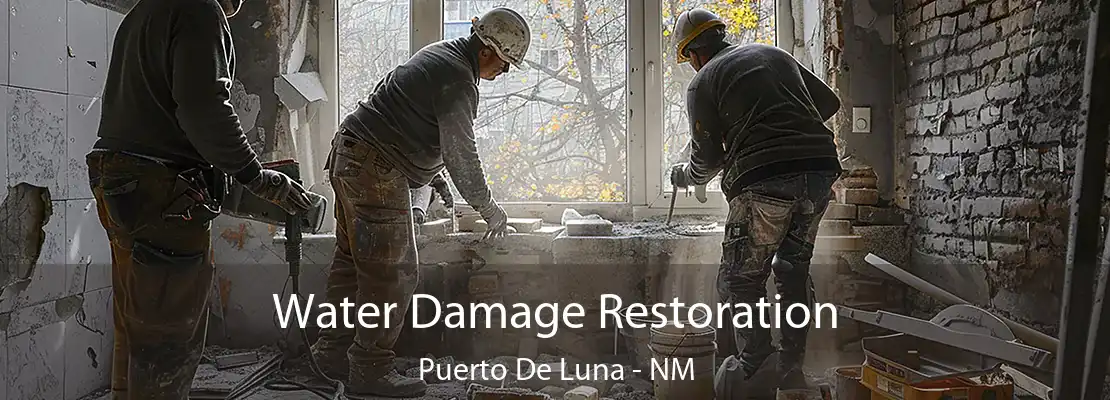 Water Damage Restoration Puerto De Luna - NM