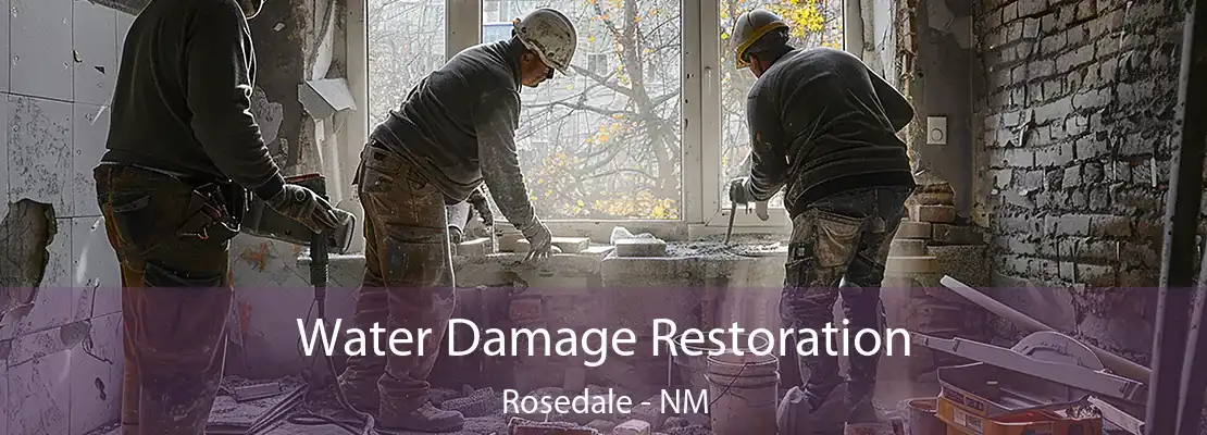 Water Damage Restoration Rosedale - NM