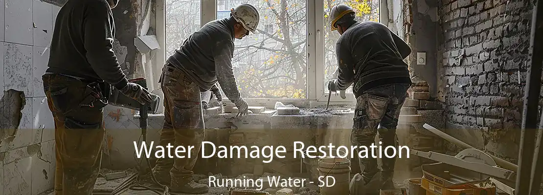 Water Damage Restoration Running Water - SD