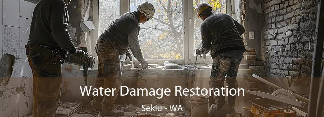 Water Damage Restoration Sekiu - WA