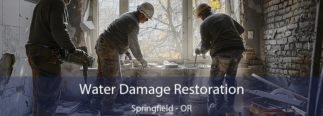 Water Damage Restoration Springfield - OR