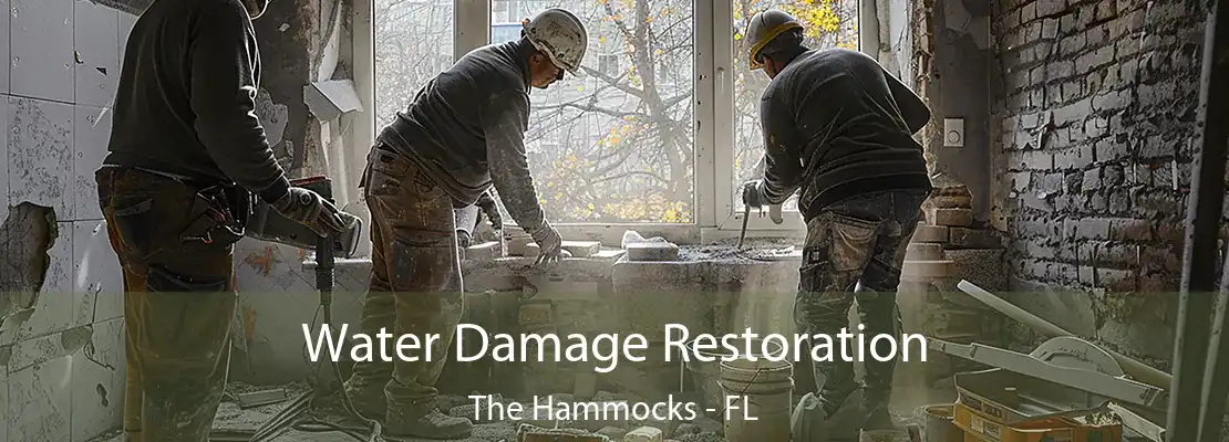 Water Damage Restoration The Hammocks - FL