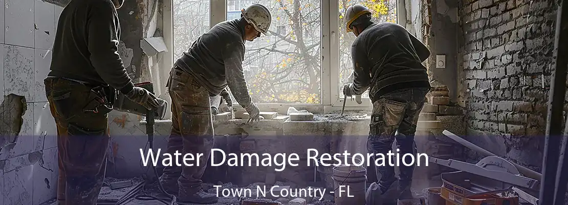 Water Damage Restoration Town N Country - FL