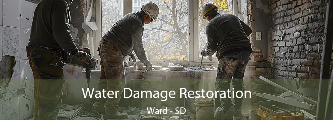 Water Damage Restoration Ward - SD