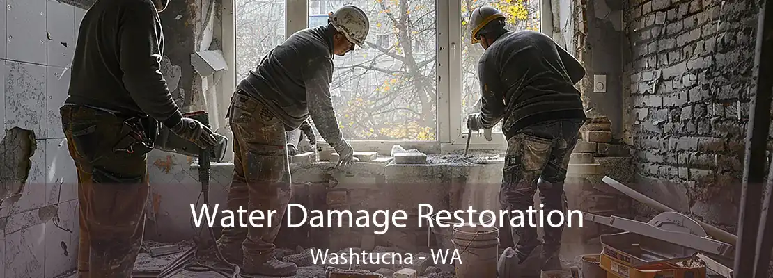 Water Damage Restoration Washtucna - WA