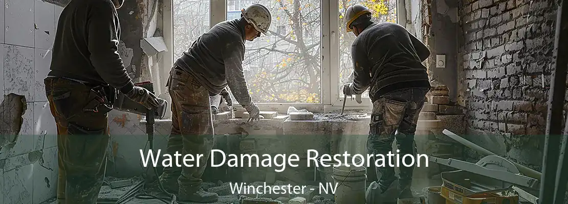 Water Damage Restoration Winchester - NV