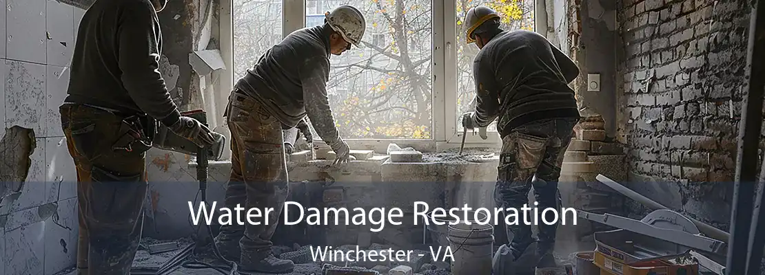 Water Damage Restoration Winchester - VA