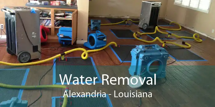 Water Removal Alexandria - Louisiana