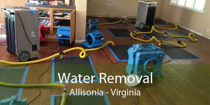 Water Removal Allisonia - Virginia