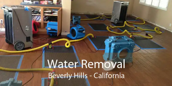 Water Removal Beverly Hills - California