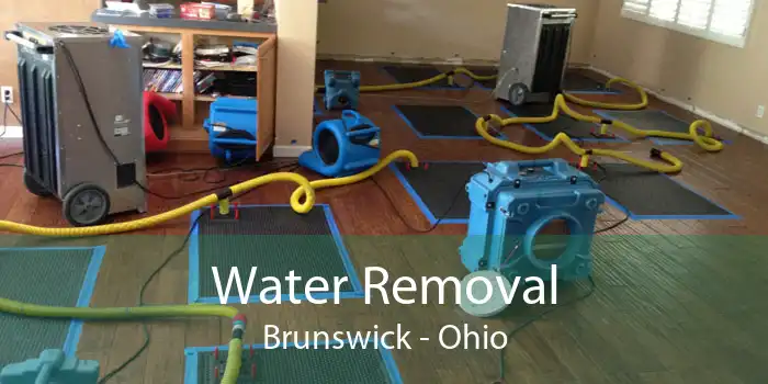 Water Removal Brunswick - Ohio