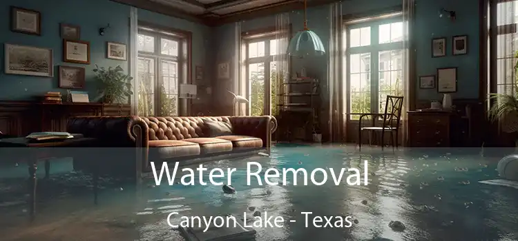 Water Removal Canyon Lake - Texas