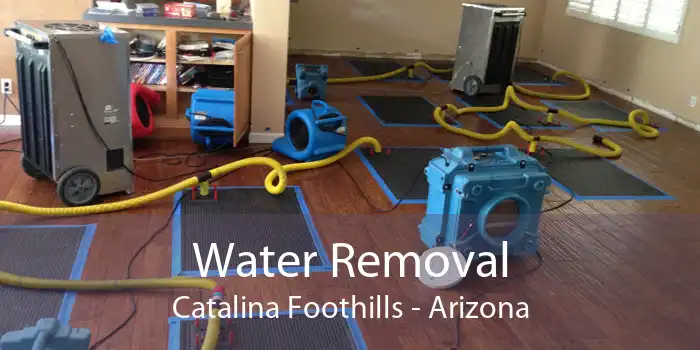 Water Removal Catalina Foothills - Arizona