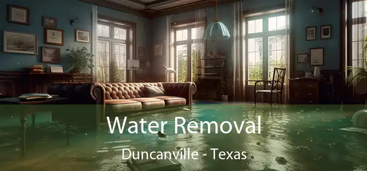 Water Removal Duncanville - Texas