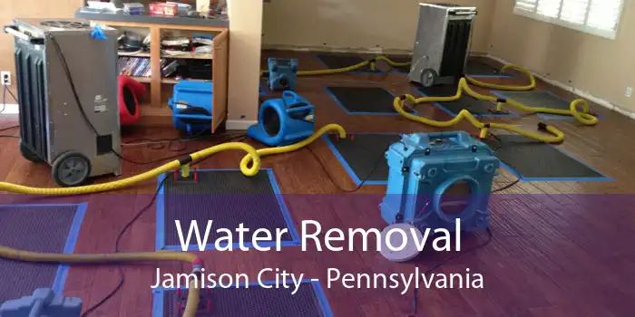 Water Removal Jamison City - Pennsylvania