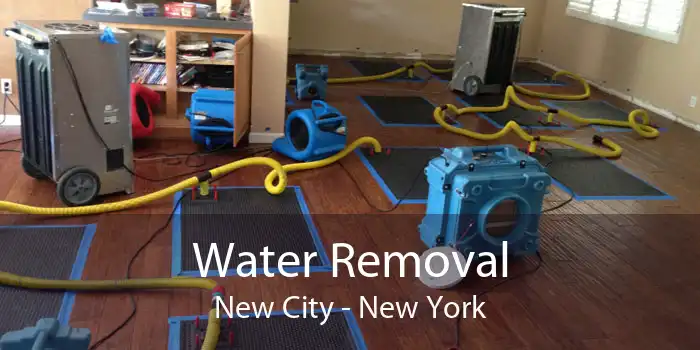 Water Removal New City - New York