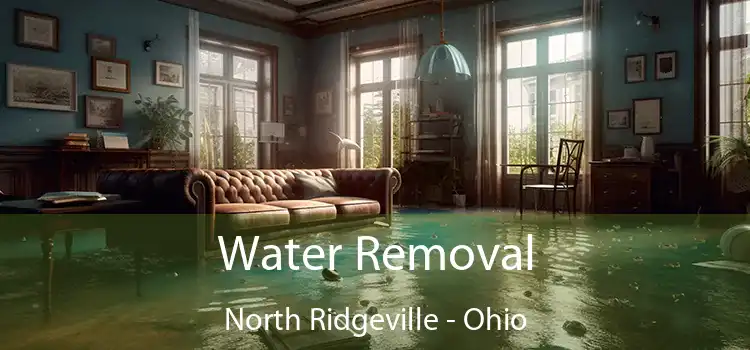 Water Removal North Ridgeville - Ohio