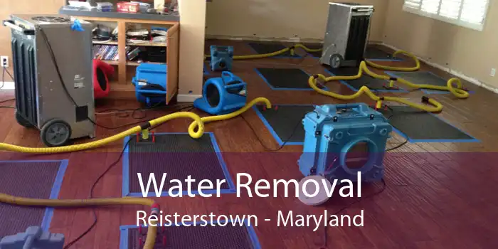 Water Removal Reisterstown - Maryland