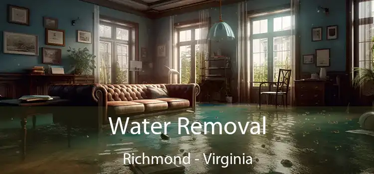 Water Removal Richmond - Virginia