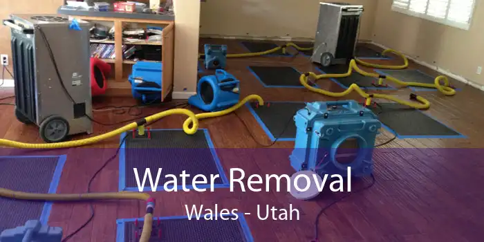 Water Removal Wales - Utah