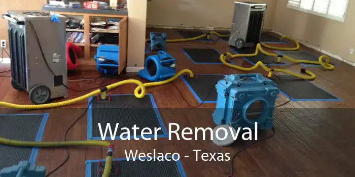 Water Removal Weslaco - Texas