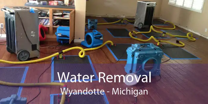 Water Removal Wyandotte - Michigan