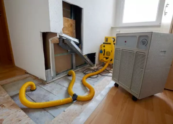 Dehumidification Services in Newport Beach